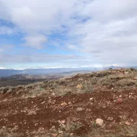 تور گردشی