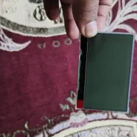 لایت کیوور.دندان پزشکی|پزشکی|زرین دشت (فارس), |دیوار