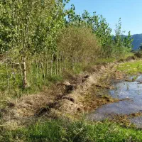 زمین مزرعه سنتی ۴۰۰متر فاصله تا جاده اسفالت ۵۰متر