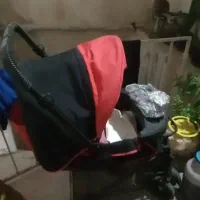 کالسکه دلیجان حد نو