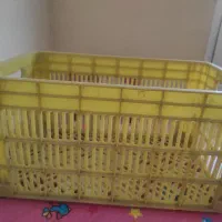 سبد۲۵کیلویی