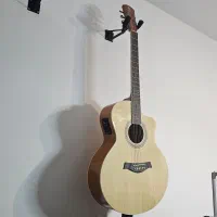 گیتار آکوستیک پیکاپدار