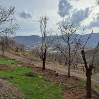 طالقان ۶ هکتار مناسب ویلا سازی|فروش زمین و ملک کلنگی|طالقان, |دیوار