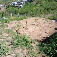 طبیعت-زیبای-رابه-رخ-می-کشد-قورچای-رامیان