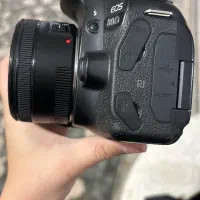 دوربین عکاسی کانن|دوربین عکاسی و فیلمبرداری|مرودشت, ابوذر شمالی|دیوار