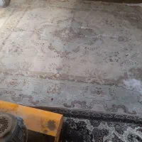 قالی شویی ام البنین