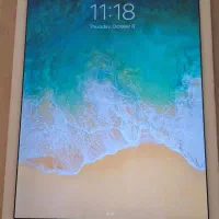 iPad air 2 wifi 16g
