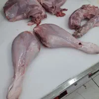 ران گرم و منجمد و بوقلمون گرم|خوردنی و آشامیدنی|دلوار, |دیوار