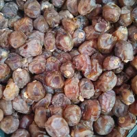 خرما برحی|خوردنی و آشامیدنی|اهواز, اسماعیلیه|دیوار