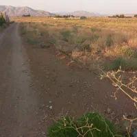 زمین کشاورزی و باغی