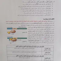کتاب جزوه زیست شناسی رنگی ۱۴۰۴ حنیف عظیمی تاملند|کتاب و مجله آموزشی|تهران, فلسطین (میدان انقلاب)|دیوار