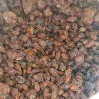 کش مش|خوردنی و آشامیدنی|نصر آباد, |دیوار