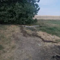 زمین-دیم-وزمین-چاهدار-املاک-سیدذاکر