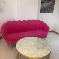 وسایل آرایشگاه|آرایشگاه و سالن‌های زیبایی|شاهین‌شهر, نظامی|دیوار