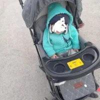 کالسکه کریر روروعک