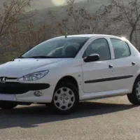 ۲۰۶ تیپ ۲ سفید، بیرنگ