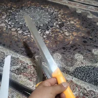 چاقو آشپزی|ظروف پختوپز|صباشهر, |دیوار