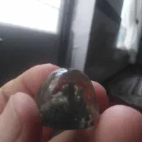 جنگل سبز درون سنگ زنده  شفاف شفاف