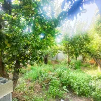 ویلا زمین باغ باغچه کردان زعفرانیه تهراندشت شهرکی