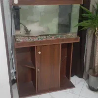 اکواریوم شیشه خم شرکتی