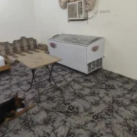 فریزر ششصد لیتری
