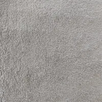 موکت پالاز پرز بلند 2عدد هرکدام 12متری