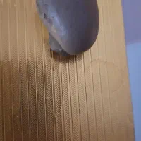 سنگ خیلی خیلی قدیمی|بدلیجات|ری, علایین|دیوار