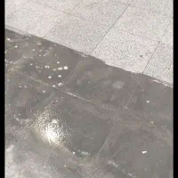 کفسابی کف ساب سنگ سابی|خدمات نظافت|اصفهان, شیخ طوسی|دیوار
