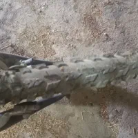 دوچرخه خوش دس|دوچرخه، اسکیت، اسکوتر|بروجرد, |دیوار