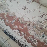 قالی|فرش|تربت جام, حافظ|دیوار