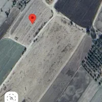 زمین کشاورزی