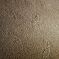 موکت 42 متر