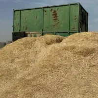 فروش کاه 20هکتار
