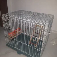 فروش قفس با وسایل