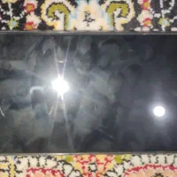 گوشی پکو c40