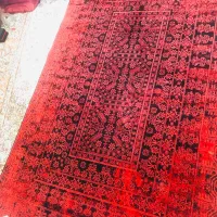 قالیچه ۱/۵ *۲۲۵|فرش|قم, عمار یاسر|دیوار