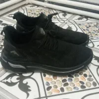 کفش کتونی اصل اصل|کیف، کفش، کمربند|کنگاور, |دیوار