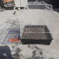 قفس پرند|لوازم جانبی حیوانات|پردیس, فاز ۴|دیوار