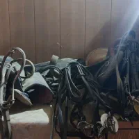 اسب و لوازم سوارکاری