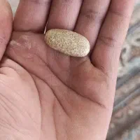 سنگ &مهره|کلکسیون اشیاء عتیقه|فاضل آباد, |دیوار