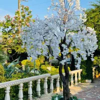 فروش وسایل خانه عقد