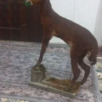 مجسمه چوبی دکوری