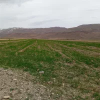 فروش زمین ساخت و کشاورزی