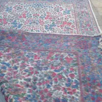 قالی دستباف کرمانی نو|فرش|رفسنجان, |دیوار
