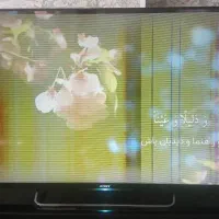 تلویزیون LED سونی ۵۵ اینج|تلویزیون و پروژکتور|صدرا-فارس, فاز ۱|دیوار