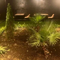 خوابگاه دخترانه پانسیون