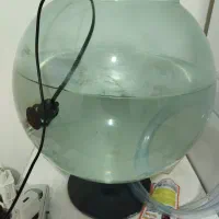 آکواریوم ب همراه ماهی