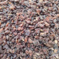 کشمش خوراکی کاشمر|خوردنی و آشامیدنی|یزد, |دیوار