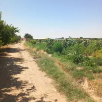 زمین ویلا کوره آجر گاوداری مرغداری گلخانه کارخانه|فروش دفتر صنعتی، کشاورزی، تجاری|خسروشاه, |دیوار