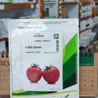 بذر گوجه بریویو باسیمو بدرو برنتا